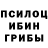 ГАШИШ Изолятор Tsetsgee Duuren