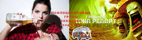 ешки Алзамай