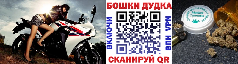 купить закладку  Калтан  Канабис планчик 